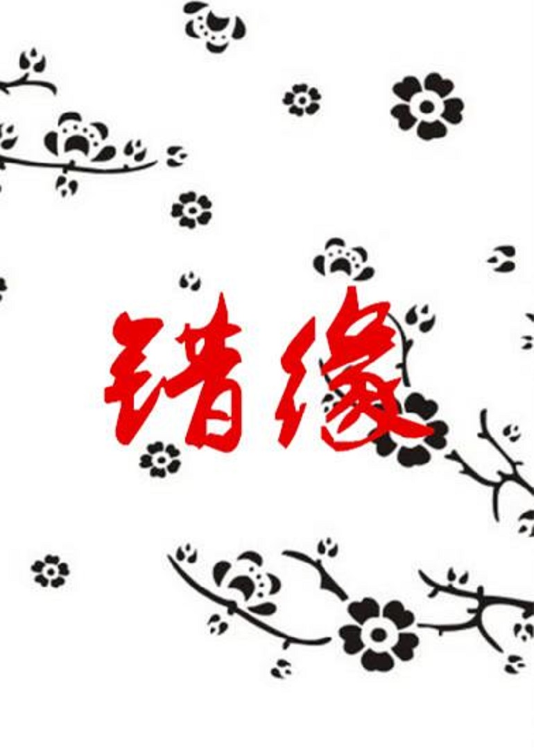 错缘(全集)